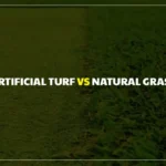 Artificial Turf