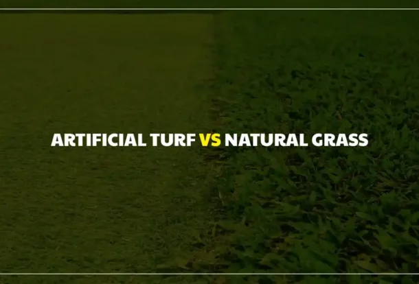 Artificial Turf