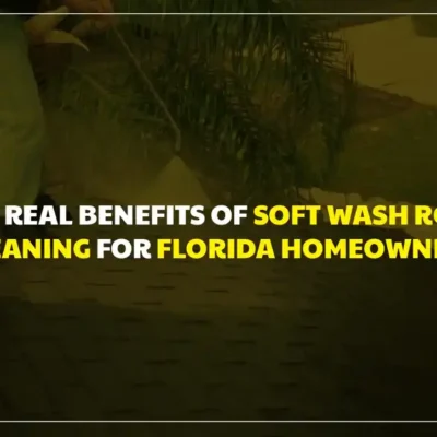 Soft Wash