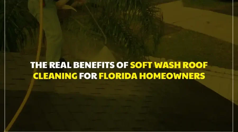 Soft Wash
