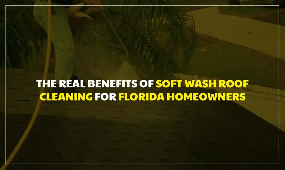 Soft Wash